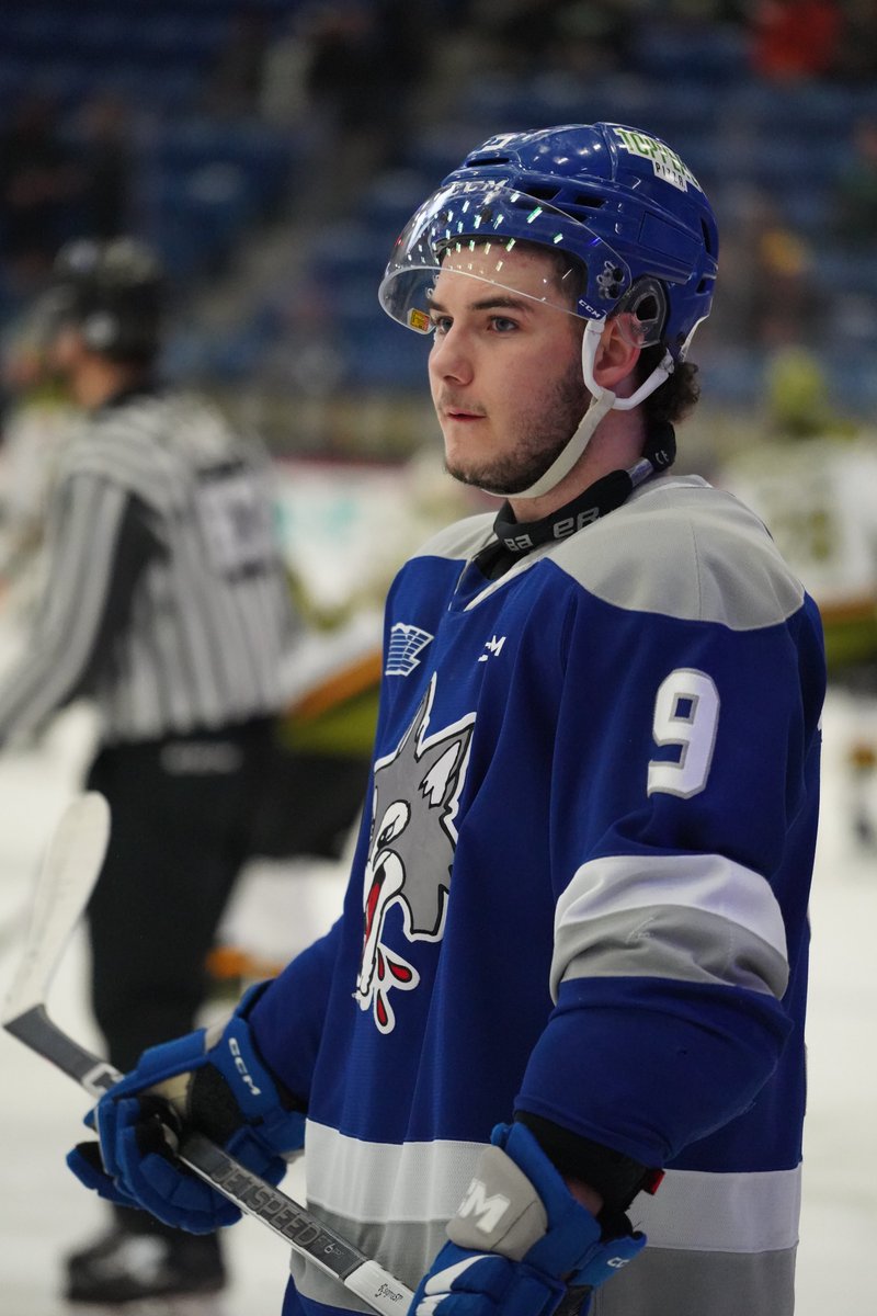 Sudbury_Wolves tweet picture