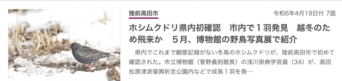 岩手県初記録となるホシムクドリを陸前高田市で確認。
浅川学芸員が発見！
愛鳥週間に市内の野鳥と合わせて写真を展示します。
tohkaishimpo.com/2024/04/19/436…