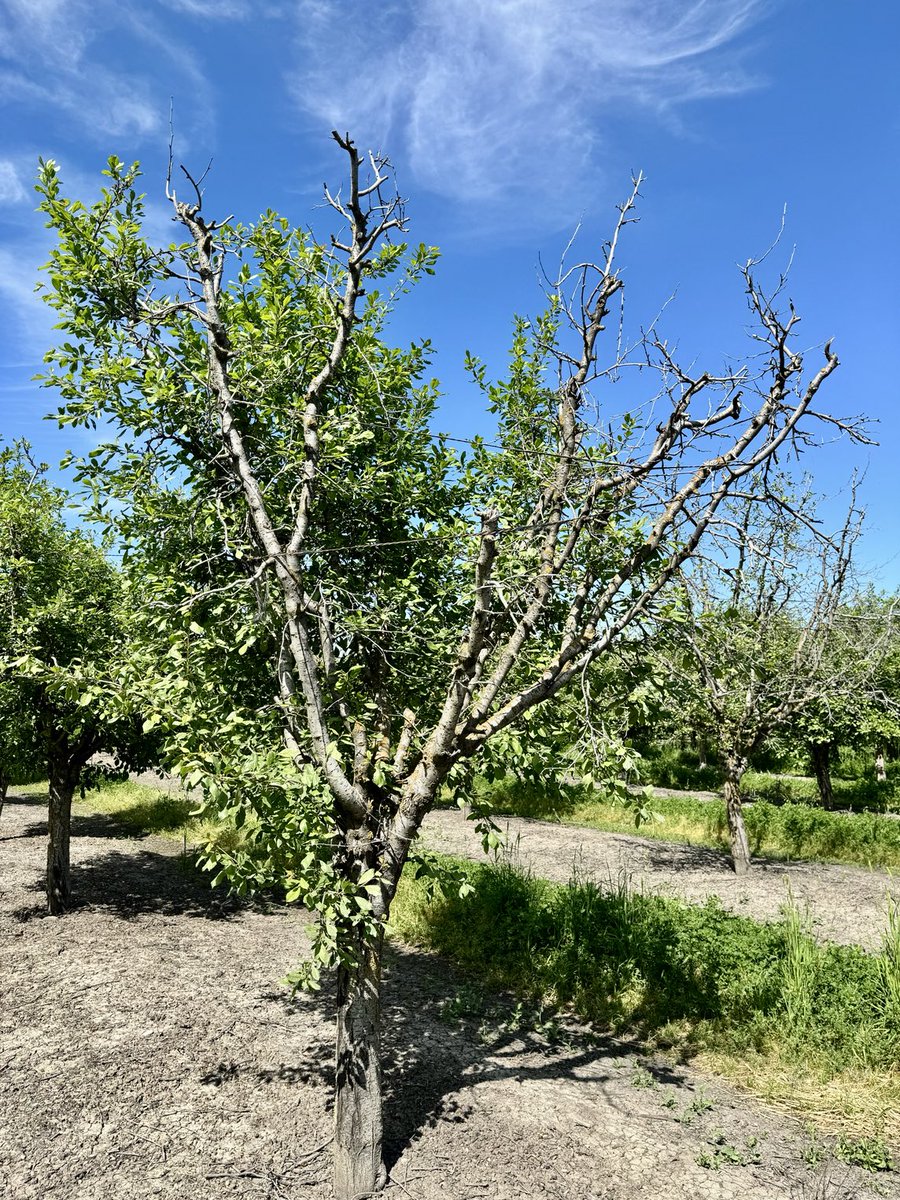 Florent Trouillas tweet media