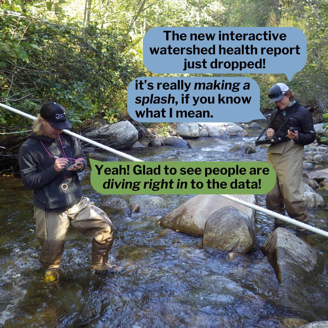 Too many puns? Water you expecting?! Over the past 14 years, our researchers have studied hundreds of rivers and streams to determine the health of Washington’s watersheds- and we used that data to create an incredible interactive report! Learn more here: ecology.wa.gov/blog/april-202…
