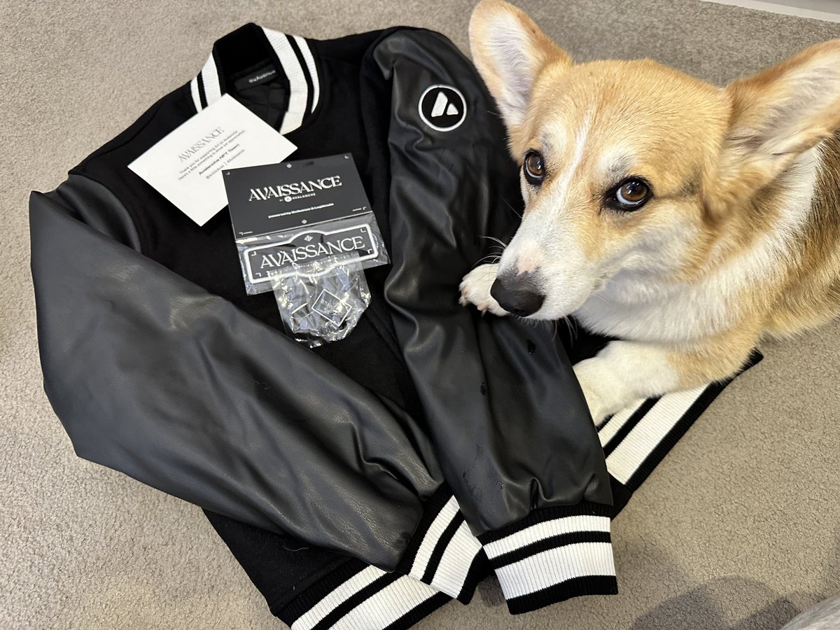 Thank you @avax for the sweet merch package …. someone else claimed it tho..