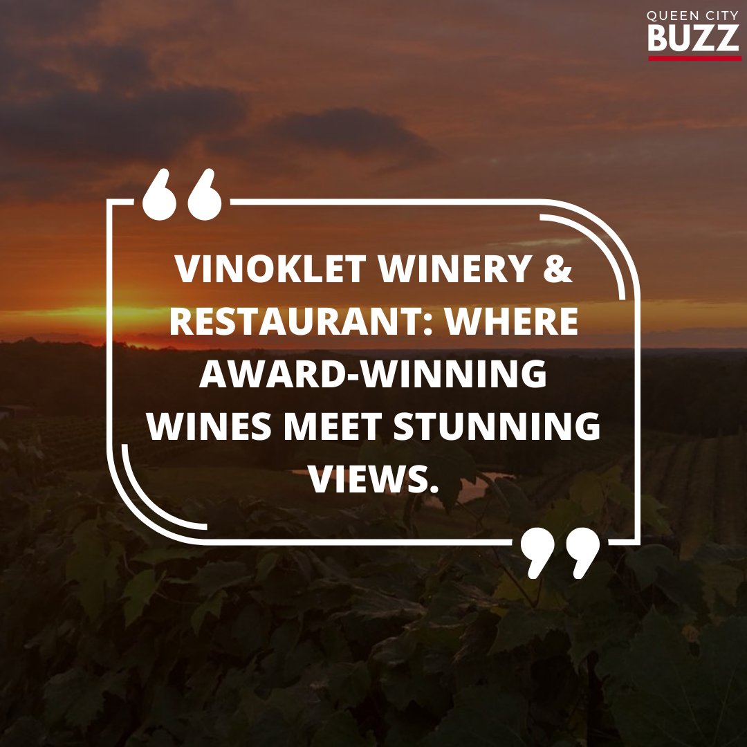 Elevate your wine experience with breathtaking views at Vinoklet. 🏞️ #AwardWinning #StunningViews