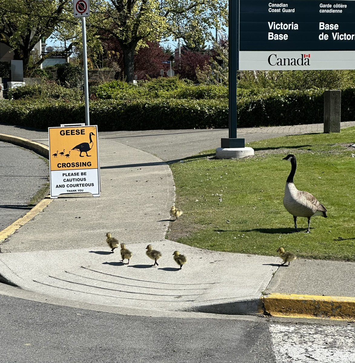 Erik Magraken tweet media
