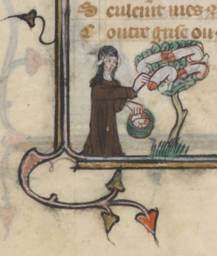 a fruitful harvest, france, 14th century