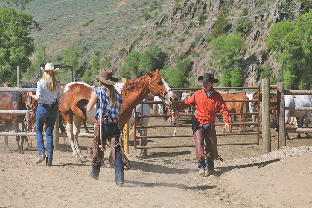 For a dude ranch experience in southern Wyoming, visit the Vee Bar Guest Ranch near Centennial, the A Bar A Ranch near Encampment (pictured), or the Medicine Bow Lodge and Adventure Guest Ranch near Saratoga. l8r.it/6f4C