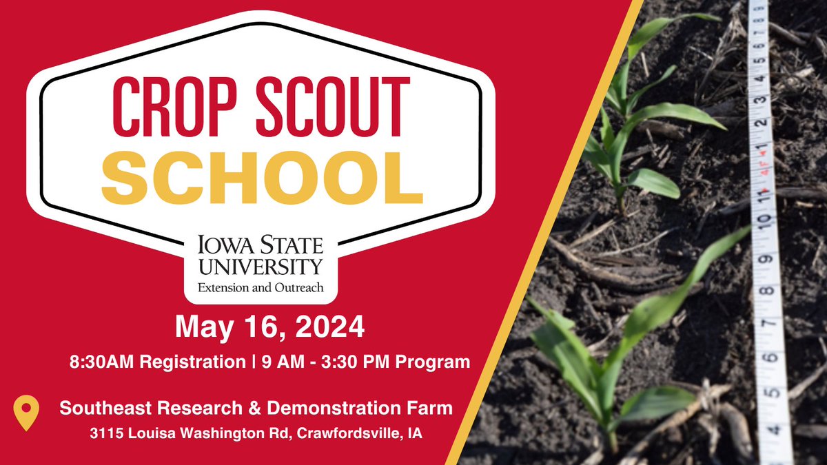 We want to see YOU at the Crop Scout School! Join us on May 16 🎟️ ➡️ crops.extension.iastate.edu/2024-crop-scou… #ISUCrops #ScoutSchool