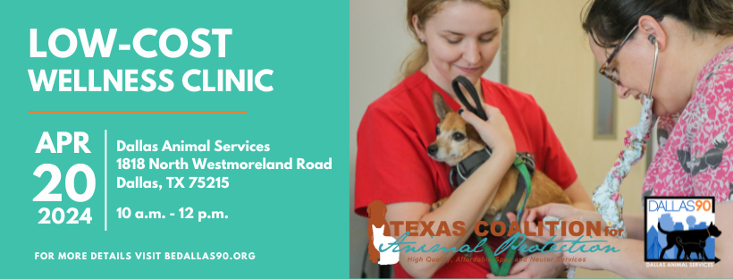 Come out to Dallas Animal Services for low-cost pet vaccinations this Saturday, April 20 from 10 a.m. to 12 p.m. with TCAP! bedallas90.org/upcoming-event…