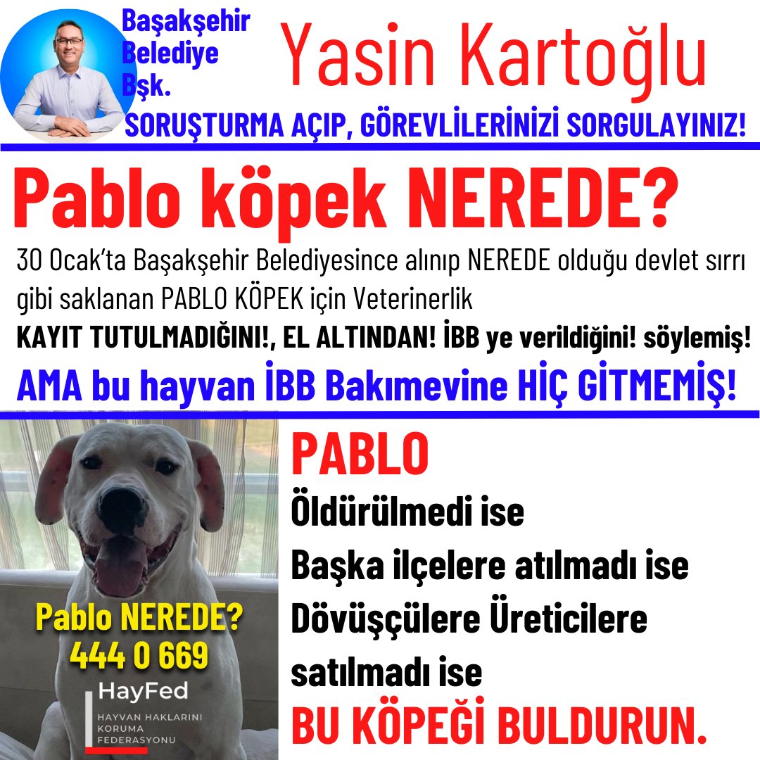 30 Ocak’ta Başakşehir Belediyesince alınıp NEREDE olduğu devlet sırrı gibi saklanan PABLO KÖPEK için de Veterinerlik vatandaşa dalga geçer gibi ''KAYIT TUTULMADIĞINI!, EL ALTINDAN! İBB'ye verildiğini! '' söylemiş!.. AMA bu hayvan İBB Bakımevine HİÇ GİTMEMİŞ! .. Ardından bizim