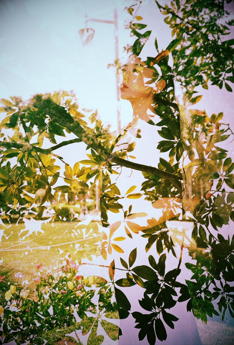 model: 小夜様 @sayo_oo_
#lomography LC-A+ #フィルム写真 #多重露光 #doubleexposure #multiexposure #portrait 
#山本穂高多重WS #カメスズ