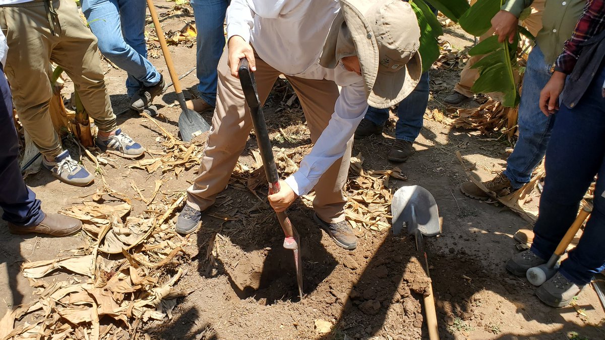 FAOHonduras tweet picture