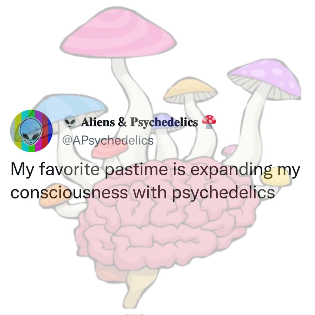 Arguably the BEST pastime 🧠🍄
