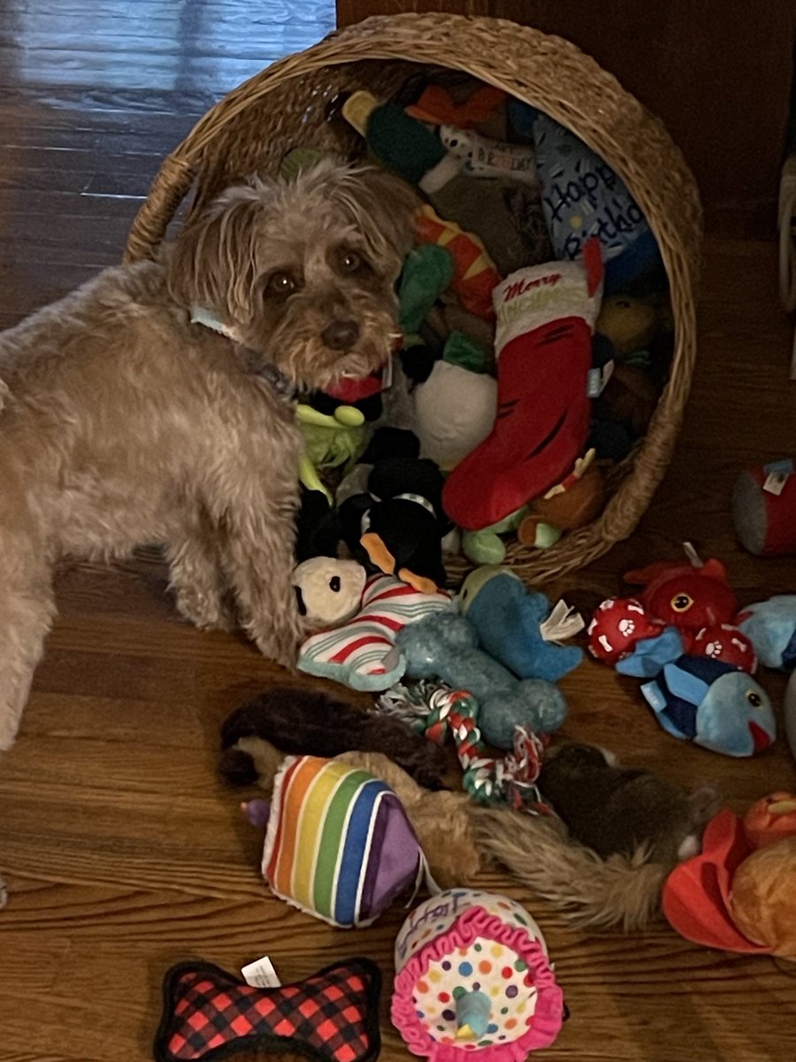 Doing inventory. #nevertoomany #toys