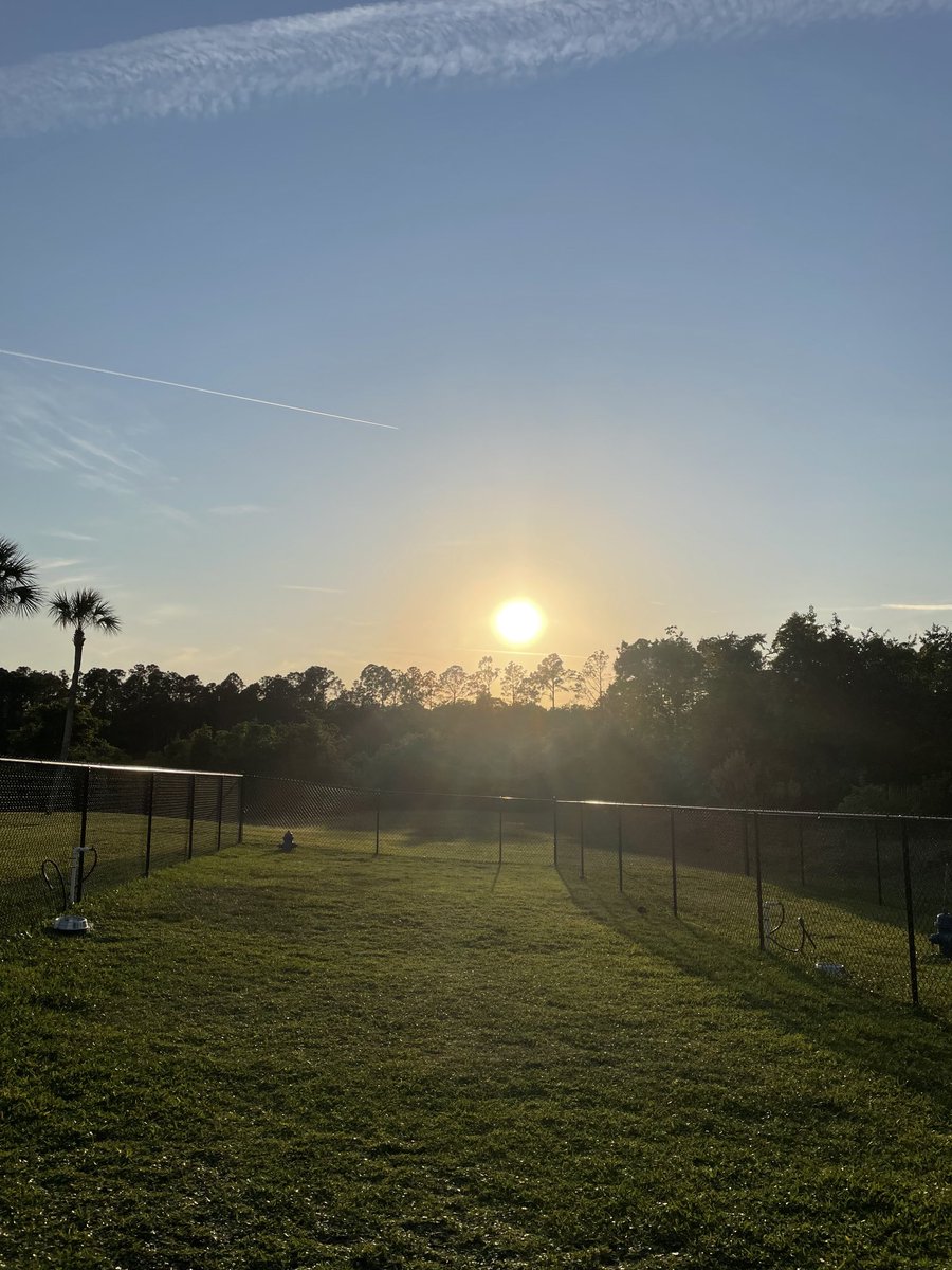 Doggie Park sunset.