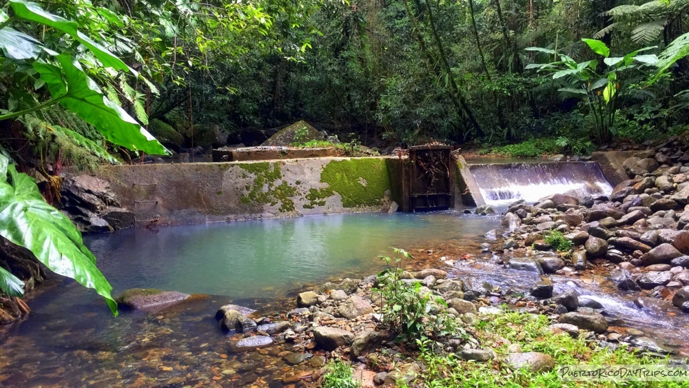 Buenas Noches #PuertoRico - Forest Water Dam (from 2017) #estaesmiisla
