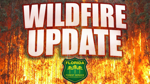 UPDATE: 4/18/2024 7:11 pm
The Evergreen Wildfire is 100% containment at 1-acre, The Florida Forest Service - Withlacoochee Forestry Center wildland firefighters are conducting mop-up operations and will be monitoring the area for the next several days.