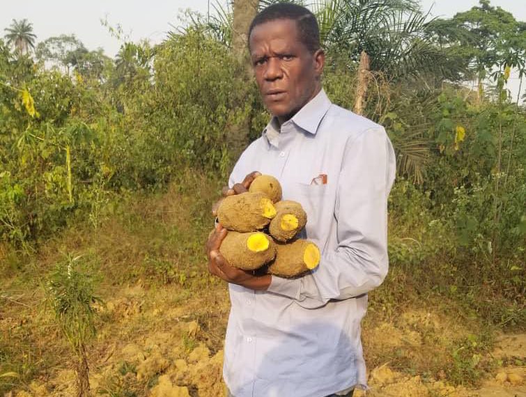 Madame_Ulrich's tweet image. Moi arrivant au first date avec mon complément comme ça la sauce est moins chère . 😌 

A lundi pour plus d’astuces