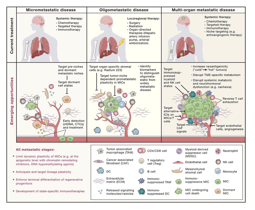 Metastasis - review. The main principles of metastasis and opportunities to develop more effective therapies for metastatic cancer. @Cancer_Cell 📖 DOI 👉🏻 10.1016/j.cell.2023.03.003 #cancer #nsclc #metastasis