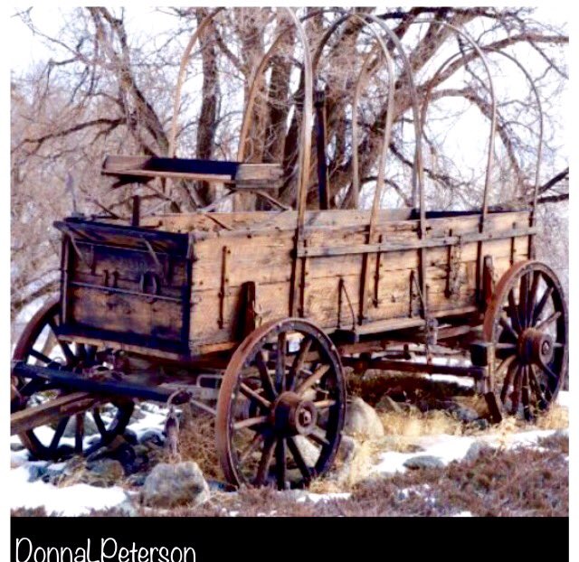 An old, uncovered wagon evokes memories of the Old West as captured by #photographer and children’s #author, Donna Peterson. Follow Donna and her camera at LushLandscapes and DonnaLPeterson1. 3-0027