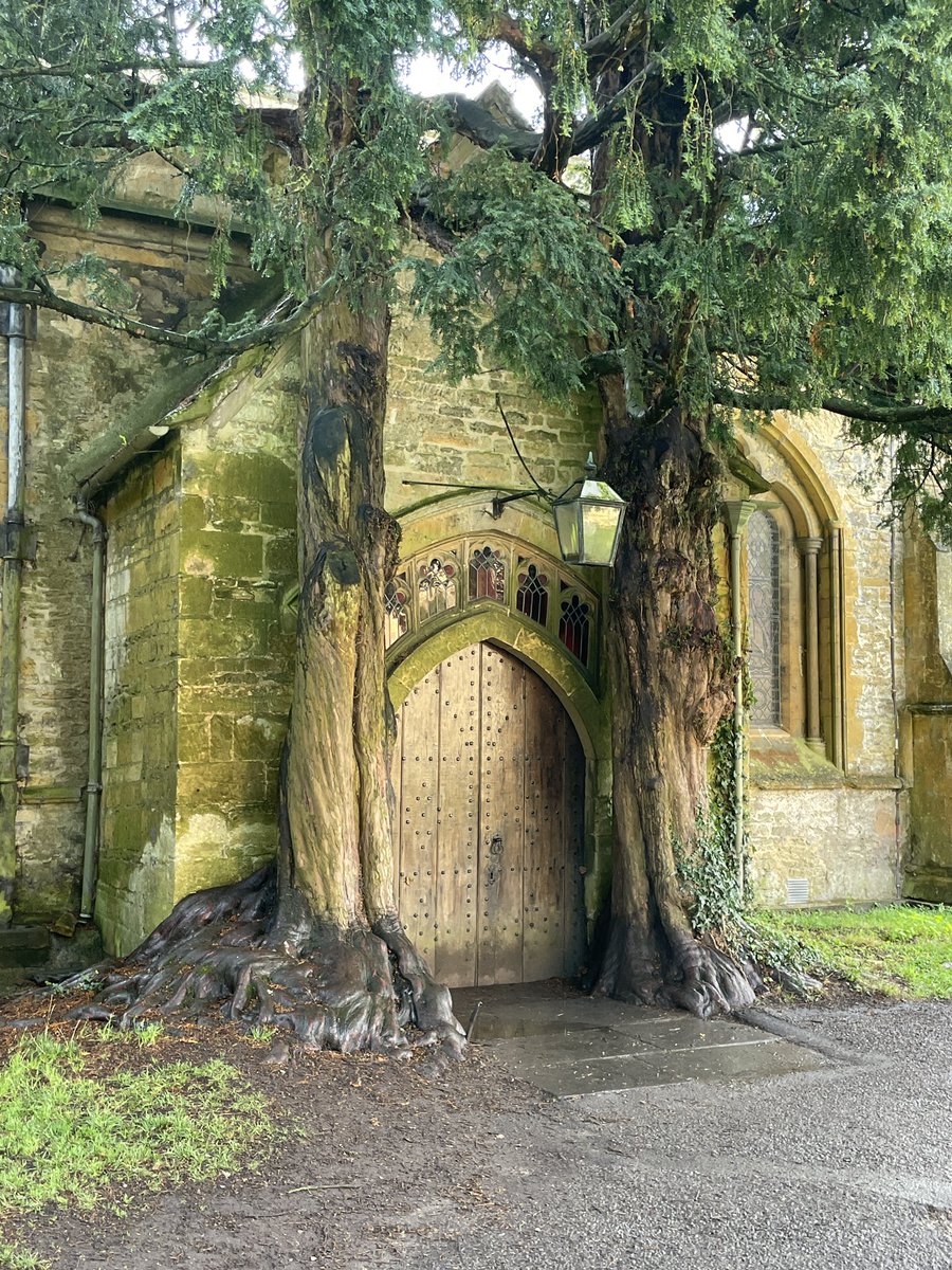 Brad Nix tweet media