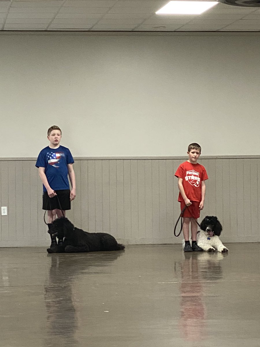 MrsStrebe's tweet image. 4H Dog Clinic starts tonight! #ohio4H