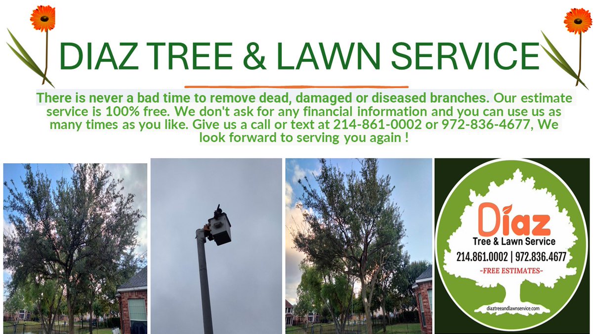 We are Diaz Tree and Lawn Service!
📷Offering the DFW with tree trimming, tree removal, stump grinding, tree planting, flowerbed clean-up, lawncare & related services!
📷Residential and Commercial properties
We are insured with over 15 years of experience.