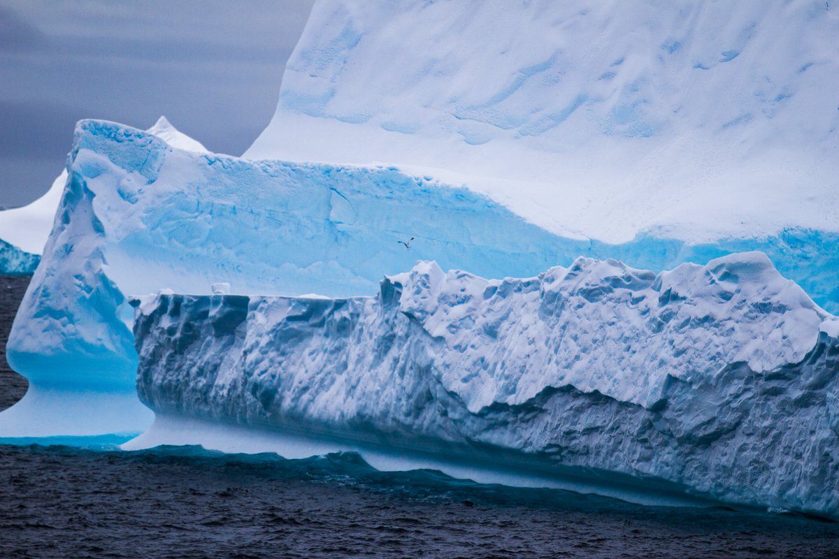 Can we see some photos that look like Paintings?