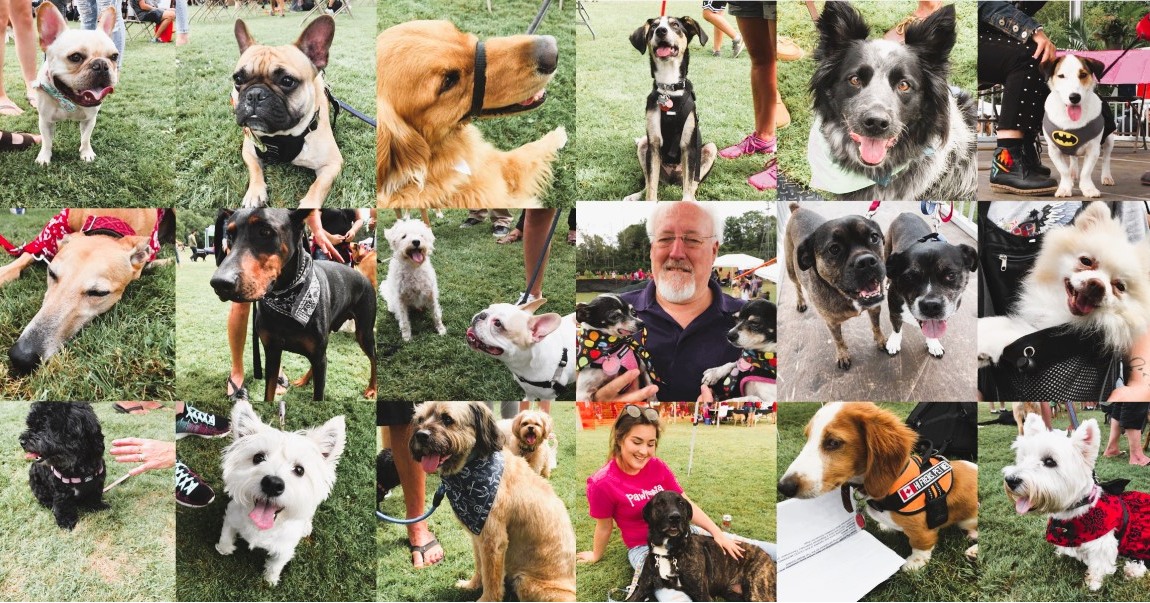AUGUST 17, 2024.
Book it!
Pawlooza, Canada's Favourite Dog Festival in London, Ontario.
#pawlooza #pawlooza2024