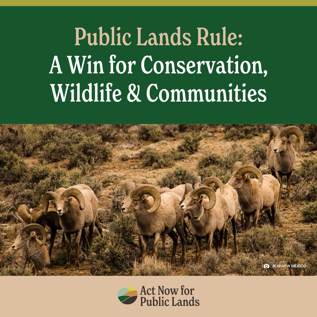 Press Release: @BLMNational's 'Public Lands Rule' will protect land, wildlife, and cultural sites. Now is the time for @SenatorHeinrich and @SenatorLujan to continue to stand with local communities and Tribes and #ActNowForPublicLands. #NMPolitics bit.ly/447GJm8