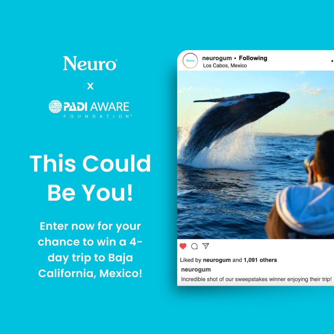 NeuroGum's tweet image. Our sweepstakes ends next week!! Enter in our bio to win a free trip to Mexico. Can&apos;t wait to see one of you out there whale watching #entertowin #sweepstakes #freetrip #neuro