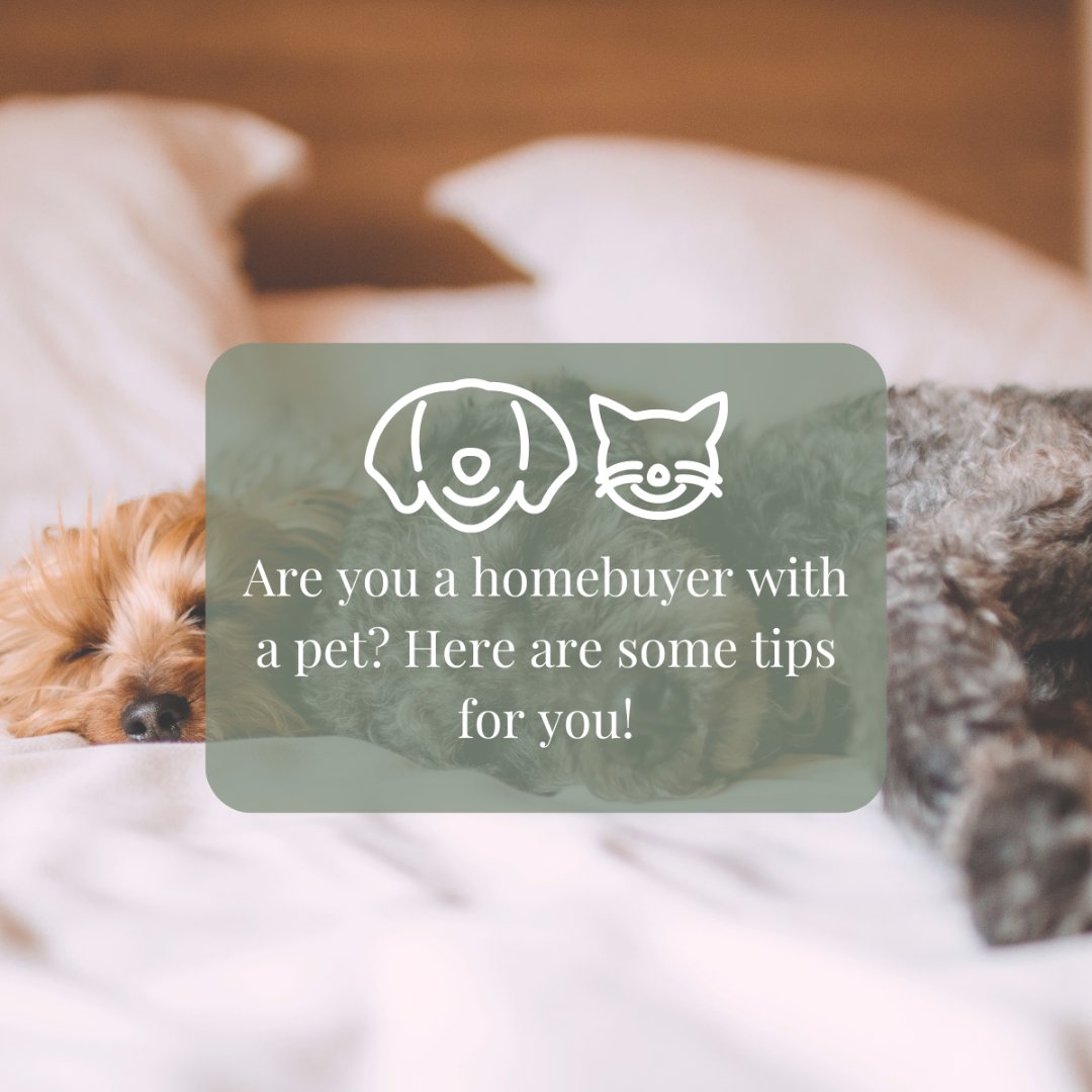 Here are the most important features of a home that pet lovers look for: 1) A fenced backyard 2) Laminate flooring 3) A place to hide the litter box 4) A nearby walking path 5) A spot to put the dog's kennel 6) A dog park #petlover #petlovers #dogs #TheLoriHorneyTeam