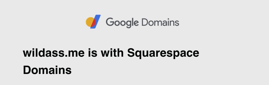 Google domains reminded me that i bought this to troll my husband and my husband trolling site is no longer in existence so like weekend project?