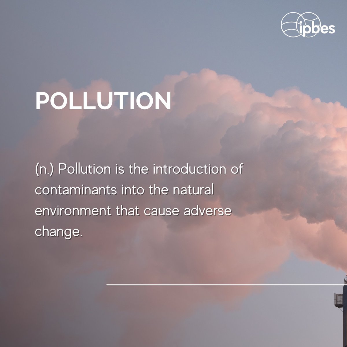 🌺Want to discover the lexicon of nature? Join us & dive into the language of #biodiversity!

Pollution is 1 of the 5 direct drivers of #BiodiversityLoss, with land- and sea-use change, #ClimateChange, resource exploitation & invasive alien species.🌿
‌According to @IPBES⬇️
