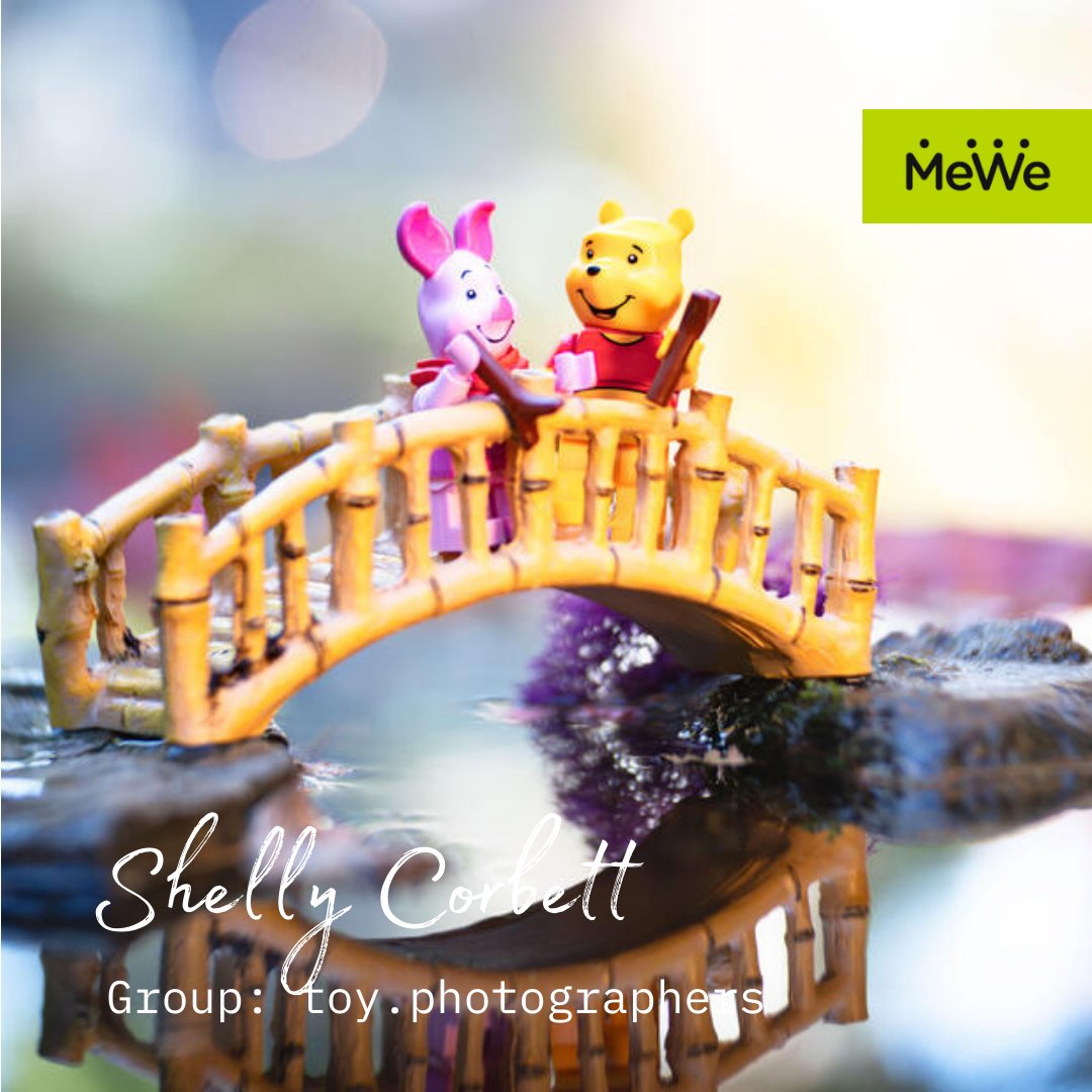 #MeWe Spotlight: Toy.photographers is a group where members showcase their passion for childhood artifacts and engage in monthly photo challenges. Interested in collaborative learning and creative inspiration? This group is perfect for you. Join here: mewe.com/join/toyphotog…