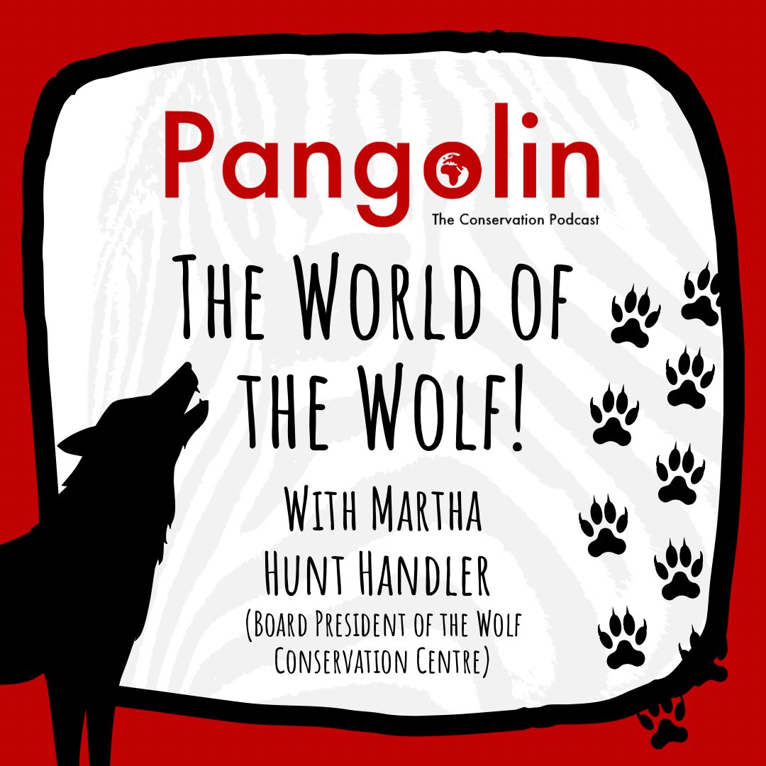 This week I am joined by Martha Hunt Handler, Board President of the Wolf Conservation Centre! She’s here to chat all about the amazing world of the Wolf and how we can protect these amazing creatures! 🐺 Check it out on… Spotify: open.spotify.com/episode/5nnSfO…
