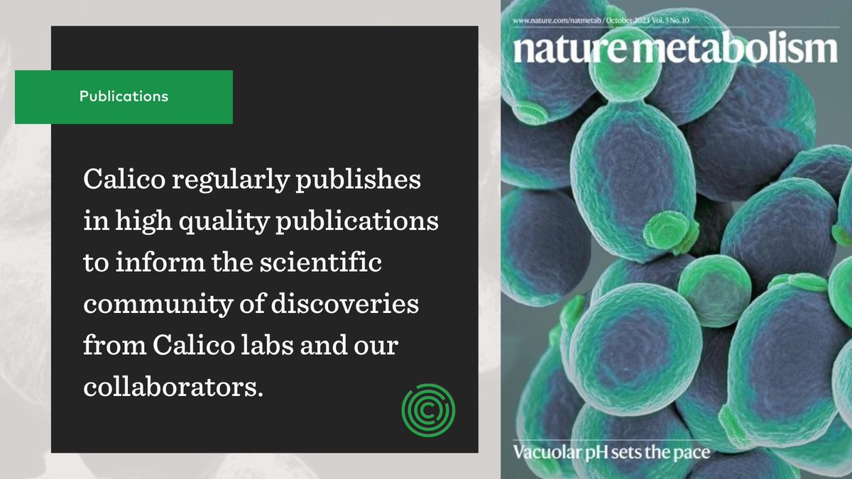 Unlocking the mysteries of aging requires collaboration & open dialogue. At @calico, we believe in the power of sharing scientific research with the community to propel aging research forward. Explore peer-reviewed publications at: calicolabs.com/publications