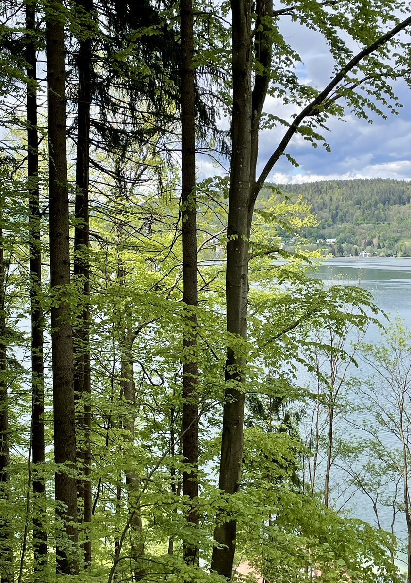 A visit to a special place: Gustav #Mahler's 'Komponierhäuschen“ high above Lake #Wörthersee in the middle of the forest. His 5th, 6th, 7th and parts of the 8th symphony were composed here in the summer months 1901 - 1907, as were his #Kindertotenlieder and #Rückert Lieder.