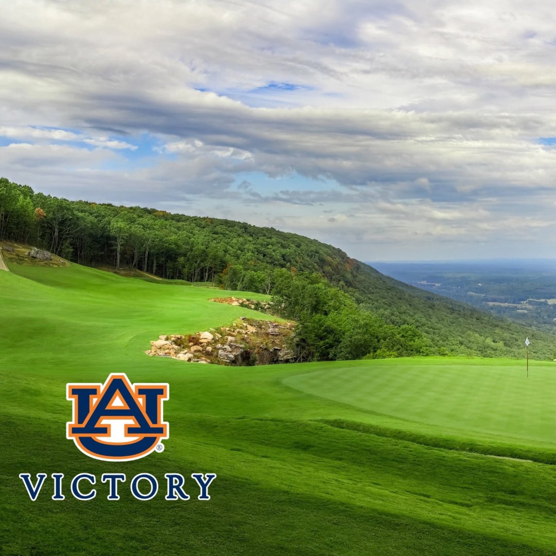 Mountain View Seeds tweet media