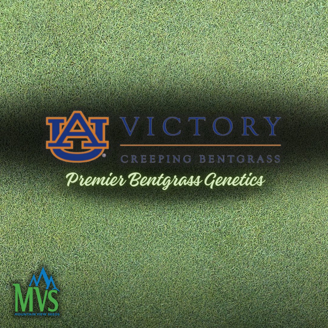 Mountain View Seeds tweet media