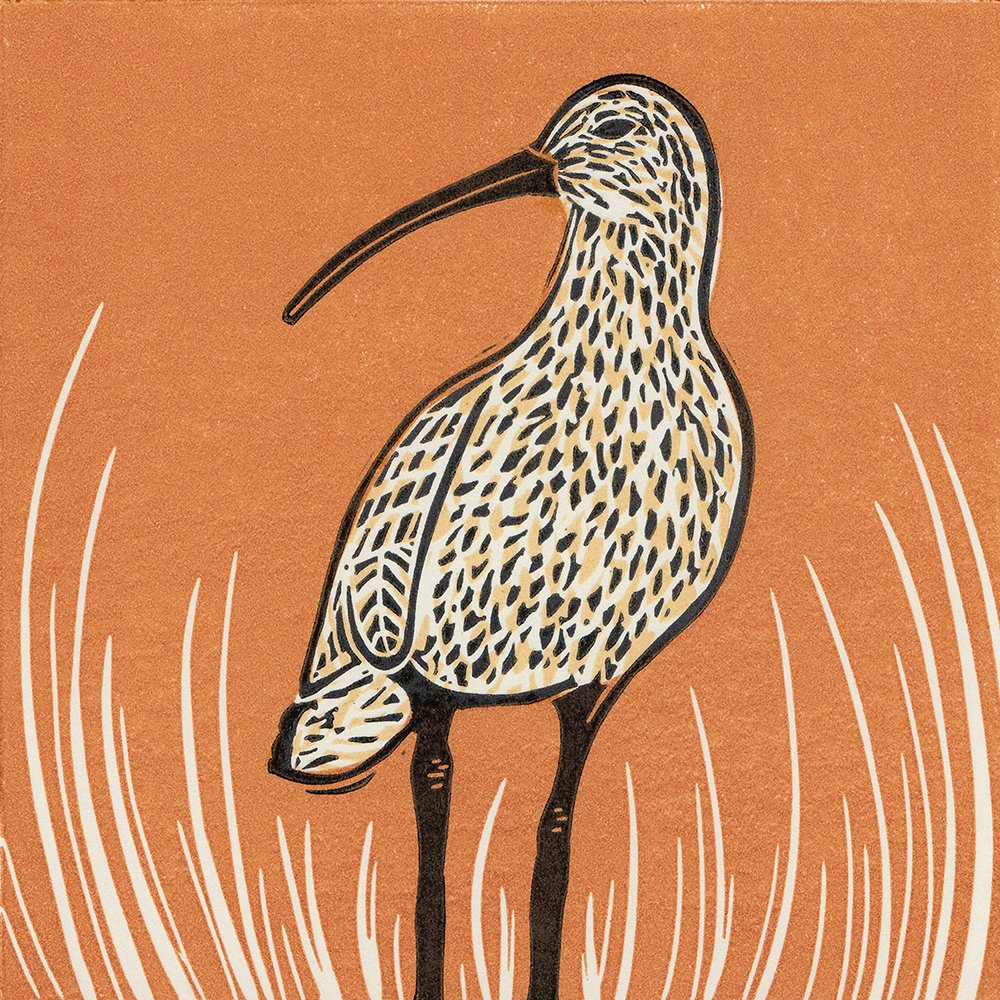 It’s #WolrdCurlewDay. #Curlews are on the red endangered list & need our help. Find out more at @CurlewAction @WCDApril21 

#curlew #birdart #linocut #printmaking #originalprints  #birds #birding #birdwatching  #BirdsOfTwitter