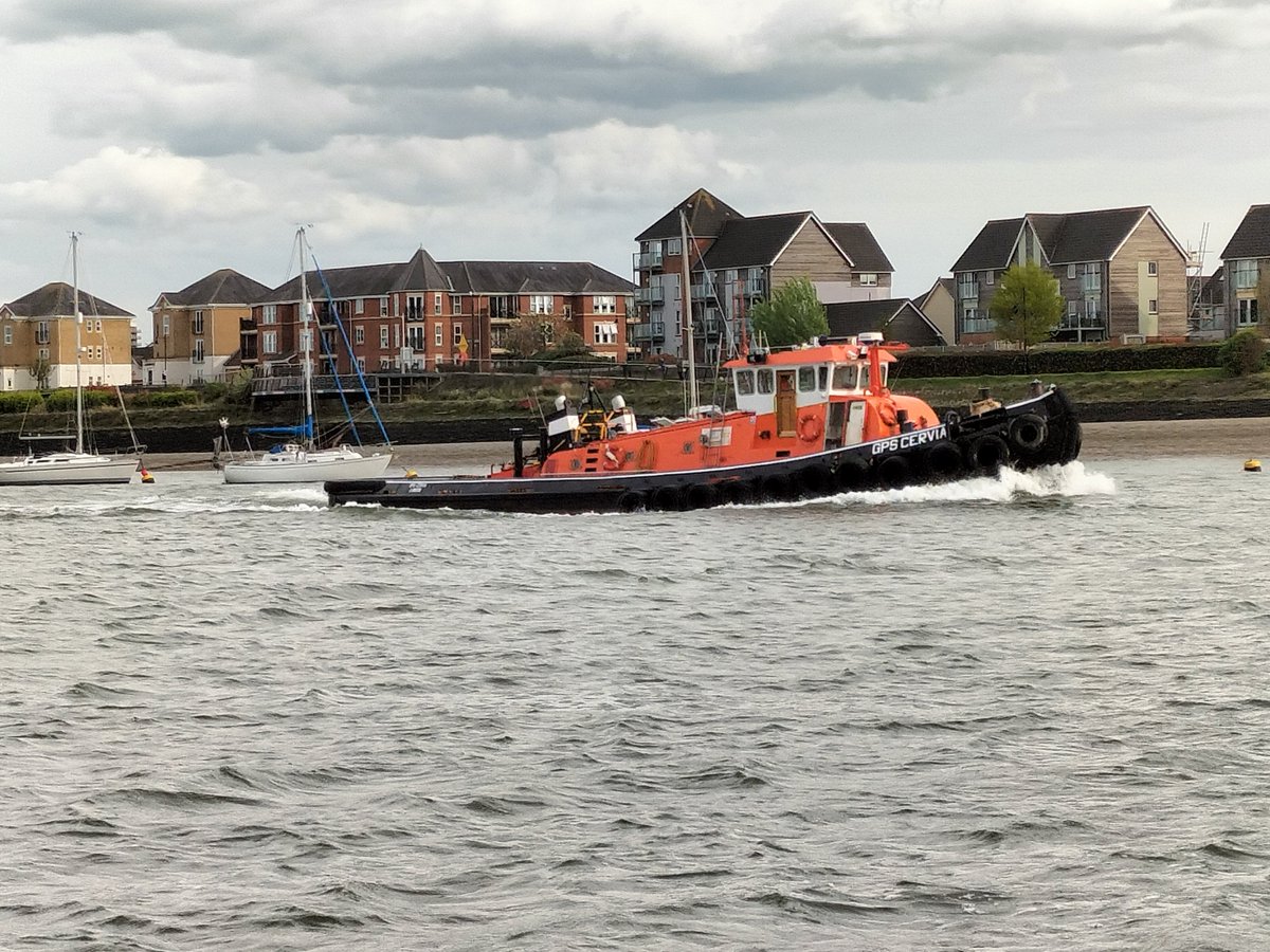 JDyckhoff's tweet photo. Gps cirvia with the bone between her teeth short reach Chatham this afternoon https://t.co/XoxMFQTtq4