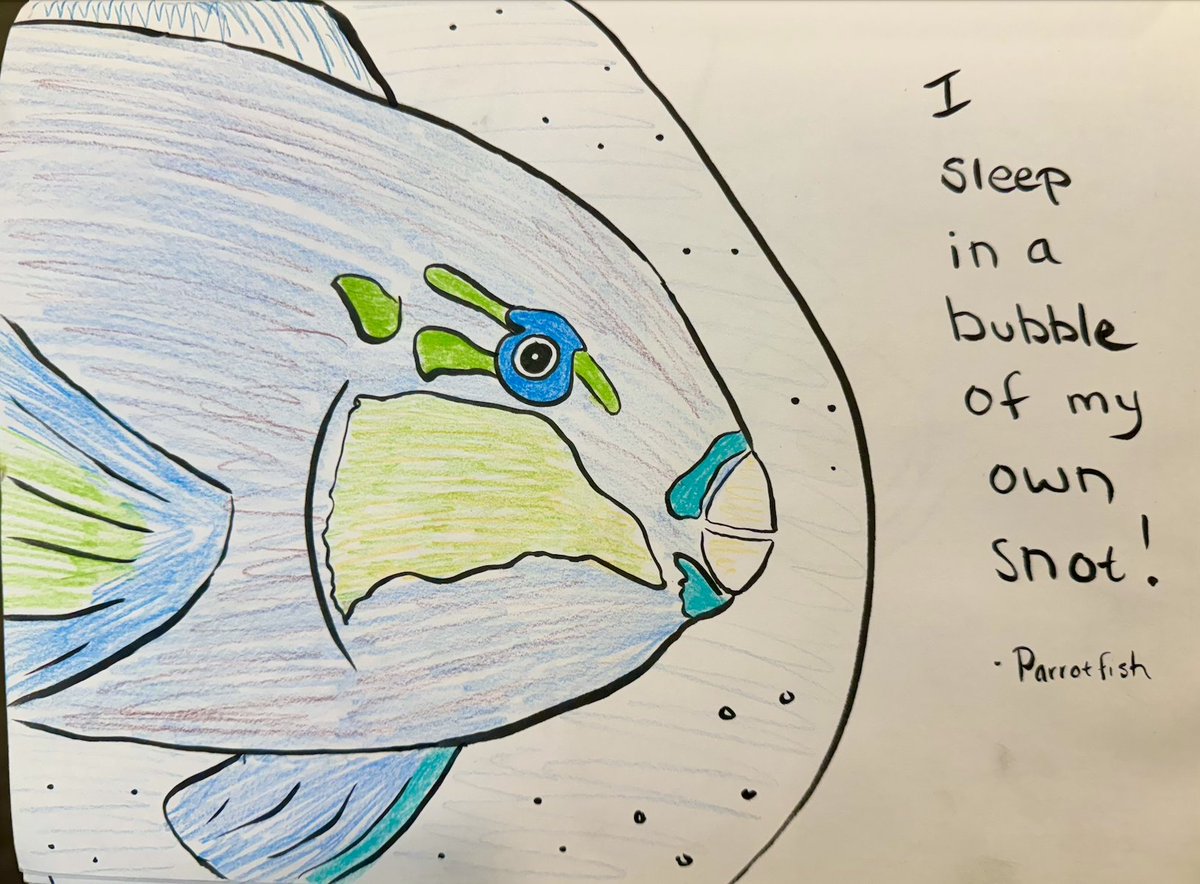 Sarah McAnulty, Ph.D tweet media