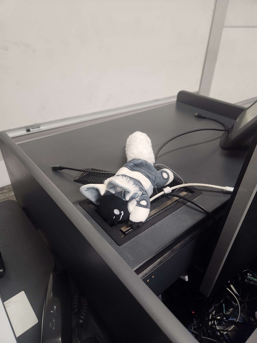 WW92030's tweet photo. Algorithms (CS331H) - Protobean
#furry #protogen #protobean #plushie #utaustin #utatx #algorithms #utcompsci #utcs https://t.co/S44EdM7kxw