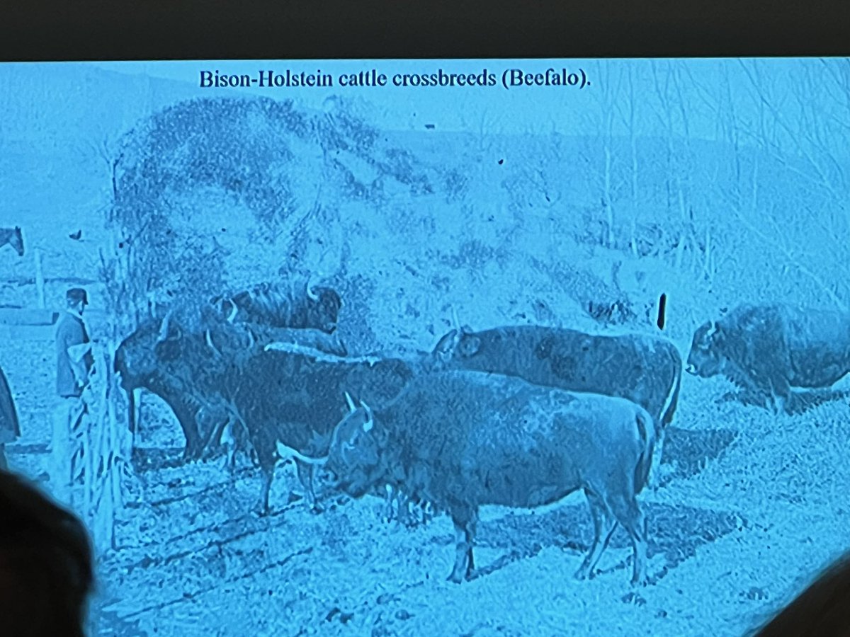 I spent the lunch hour learning about the history of our local state park since the 1850s! Weird hybrid animal/plant breeding, camps for kids, a zoo, a pool, a bobsled run and more used to exist there! 

#LunchAndLearn