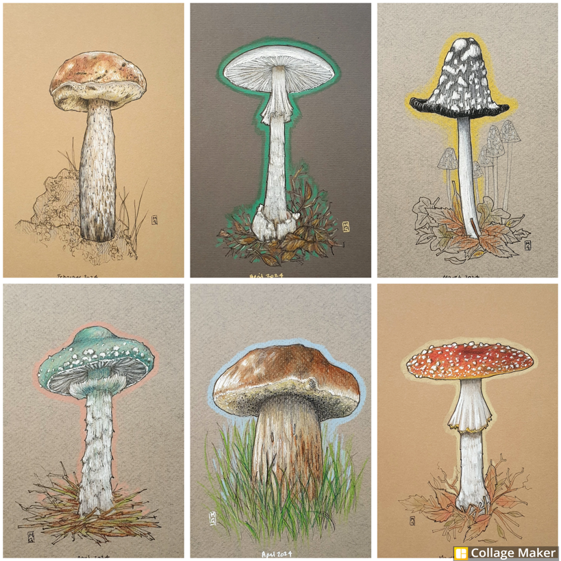 I have a selection of original mushroom drawings available. All are just £35 each. This image shows some of them, but there are more to see, visit my shop to find out more... etsy.com/shop/TheWeeOwl… #Mushrooms #OriginalArt #drawing #MixedMedia #artwork #art #TraditionalArt
