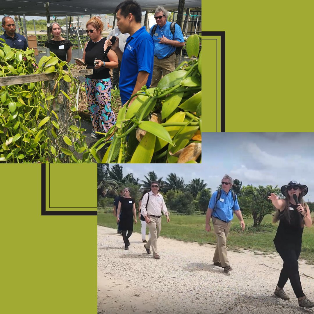 Last week, agents from the UF/IFAS Extension SE District held a meeting in sunny south Florida. They got to hear about the current research at TREC and some even toured the Center. #IFASExtension #IFASResearch