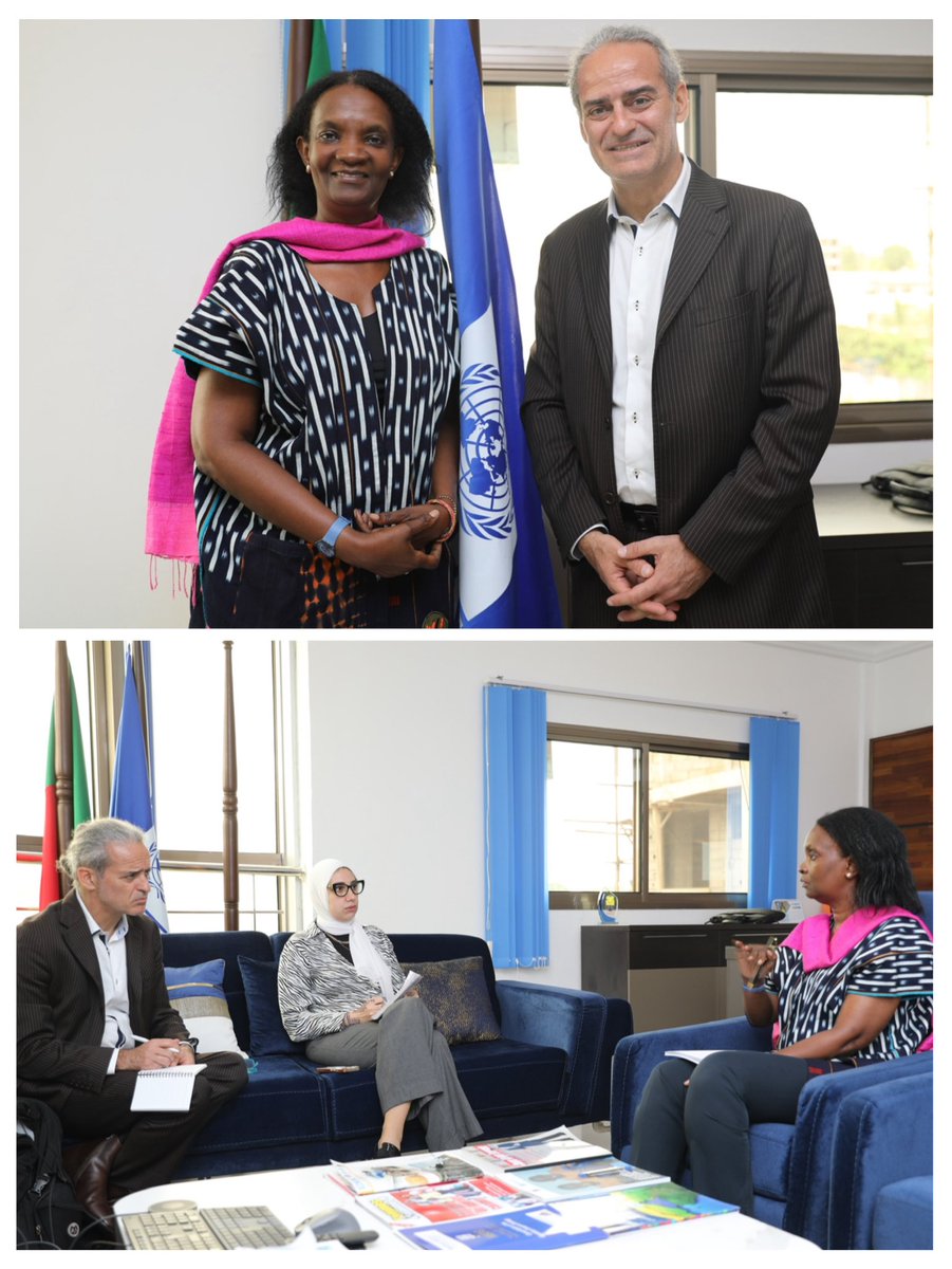 Meeting between #UNDP🇨🇲 RRai. @DeAissata & DDR. Thomas Kontogeorgos, Chief Disarmament, and Reintegration @UN_OROLSI 🇺🇸. They discussed on the DDR process in 🇨🇲 through a coordinated approach to resource mobilization and the provision of technical expertise. #SDG16