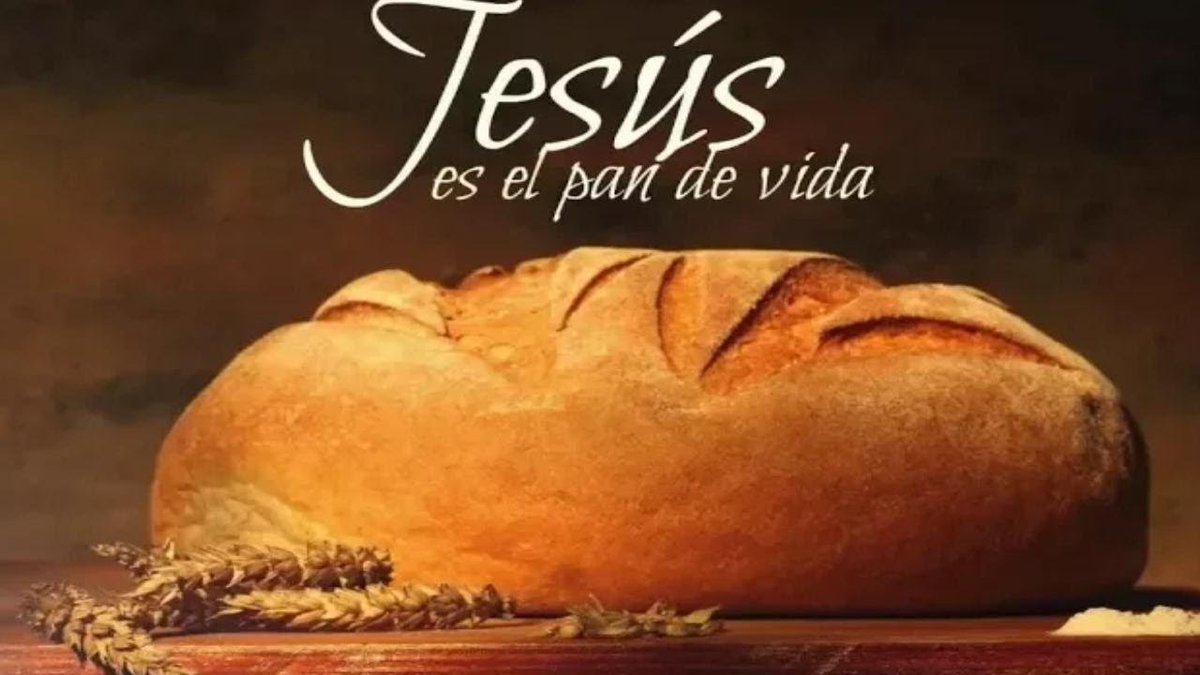 'Jesús les dijo: Yo soy el pan de vida; el que a mí viene, nunca tendrá hambre; y el que en mí cree, no tendrá sed jamás' Juan 6:35 ¿Qué significa el pan de vida? 🍞 ¿Son necesidades físicas o algo más? ↓