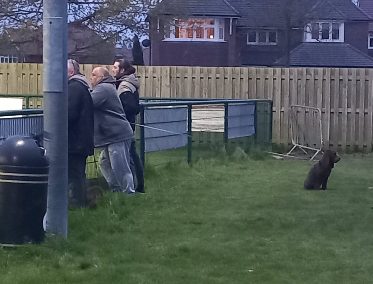 @MiltonUnited are 1-0 down to @BSFC_Official early in the match and clearly this dog has seen enough already! @NonLeagueCrowd @NonLeaguePaper