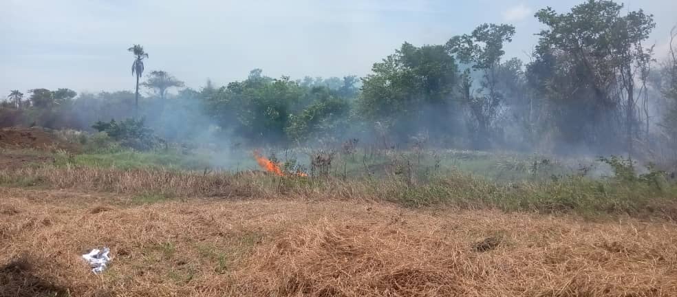 PCivil_Ve's tweet photo. #Entérate 🗣 #GRUMAE de Protección Civil #Sucre sofocó incendio de vegetación ocurrido en la Pquia. Mariño, sector El Hoyote, que consumió aproximadamente 100 metros de terreno.
#JuntosPorLaVidaYLaPaz
#BloqueoCero https://t.co/vZnZhEAEeB