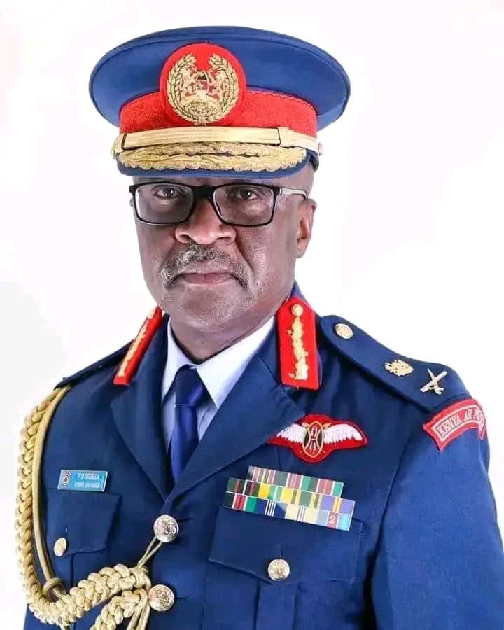 I am deeply saddened to learn about the tragic demise of Gen. Francis Ogolla and 9 other KDF personnel.

For the courage, bravery, valour and honour with which you served our country, I salute you.

May God's strength keep your families during this difficult period.
#RIPGeneral